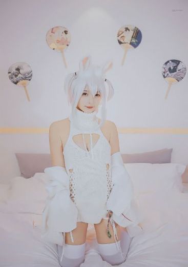 竹夫人在线观看